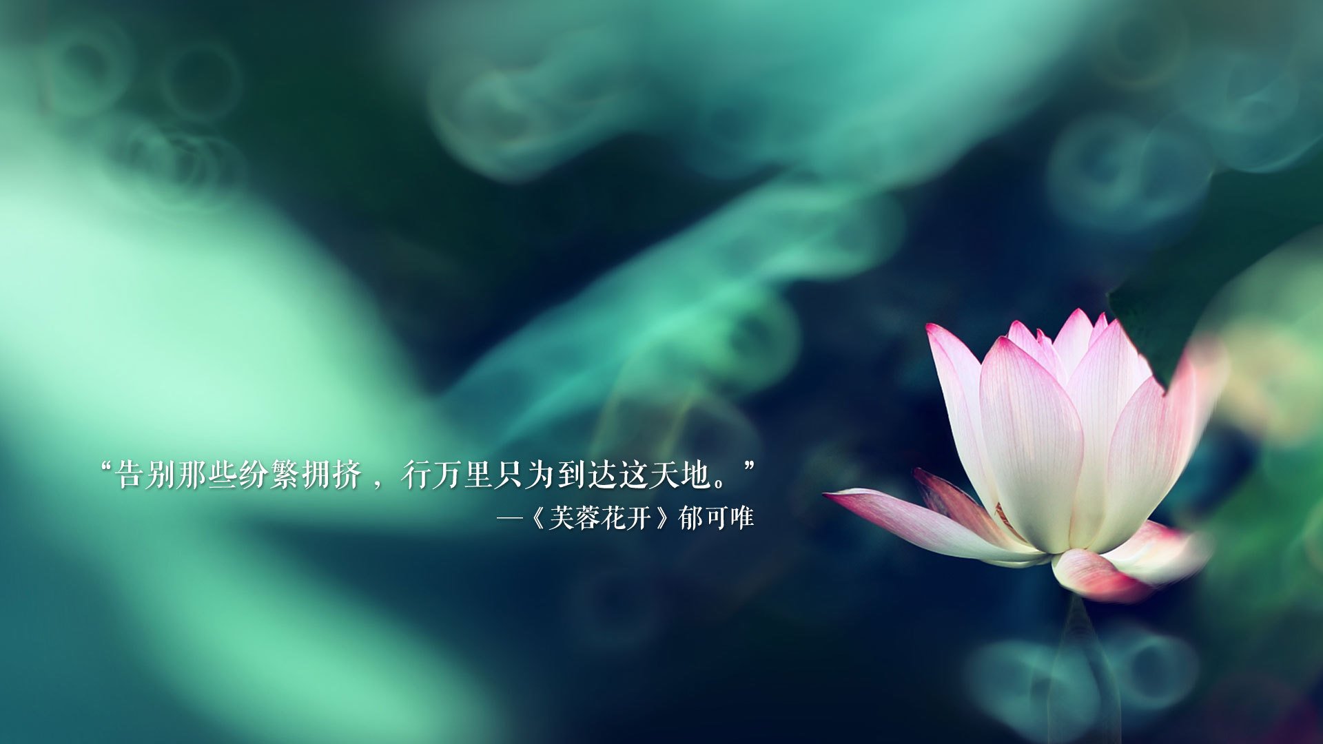_篮网整体表现出色，排名继续攀升_，篮网2022