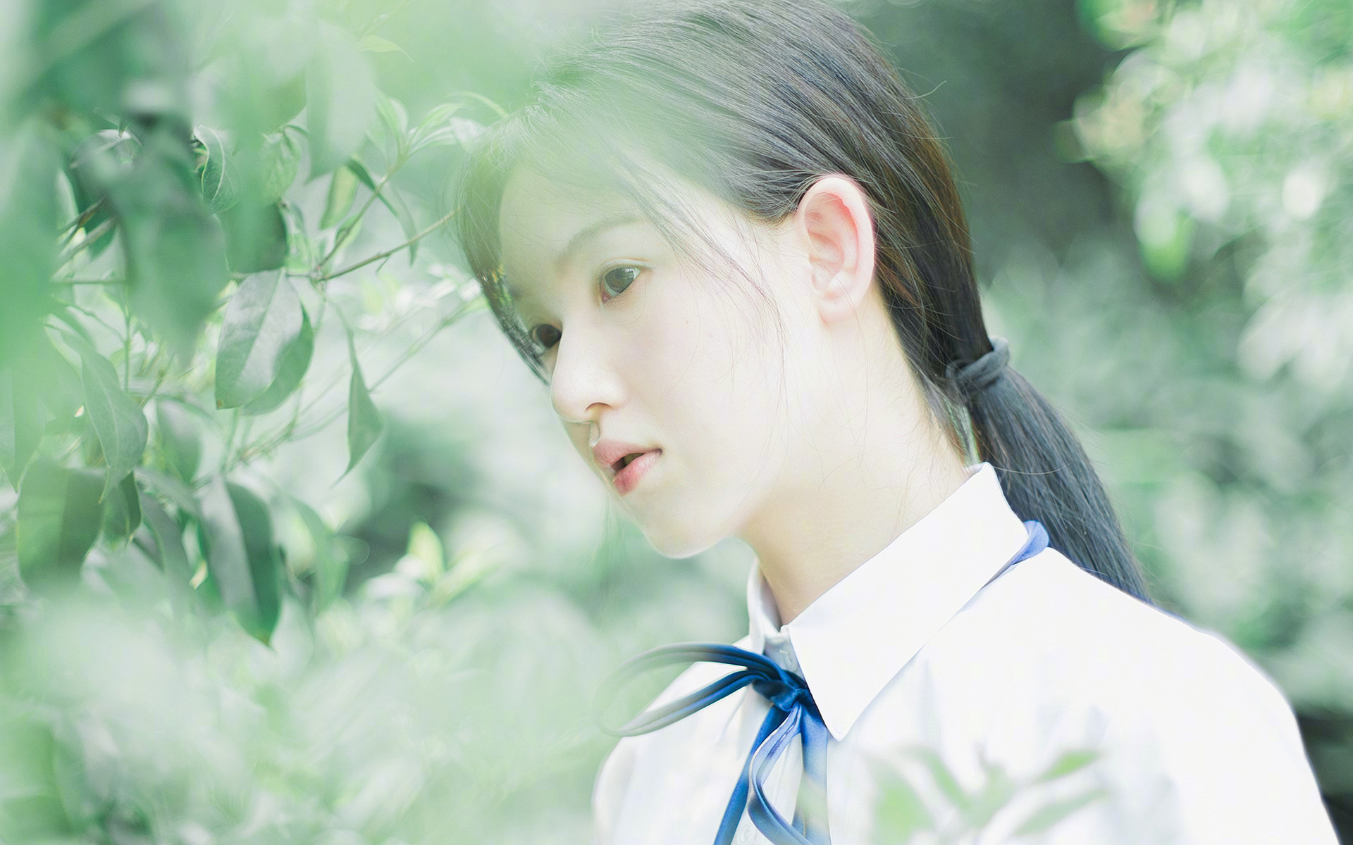 _篮球传奇对决：经典战役再次上演_，篮球传奇电影