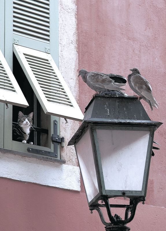 国足归化政策效果逐渐显现,国足归化名单最新消息