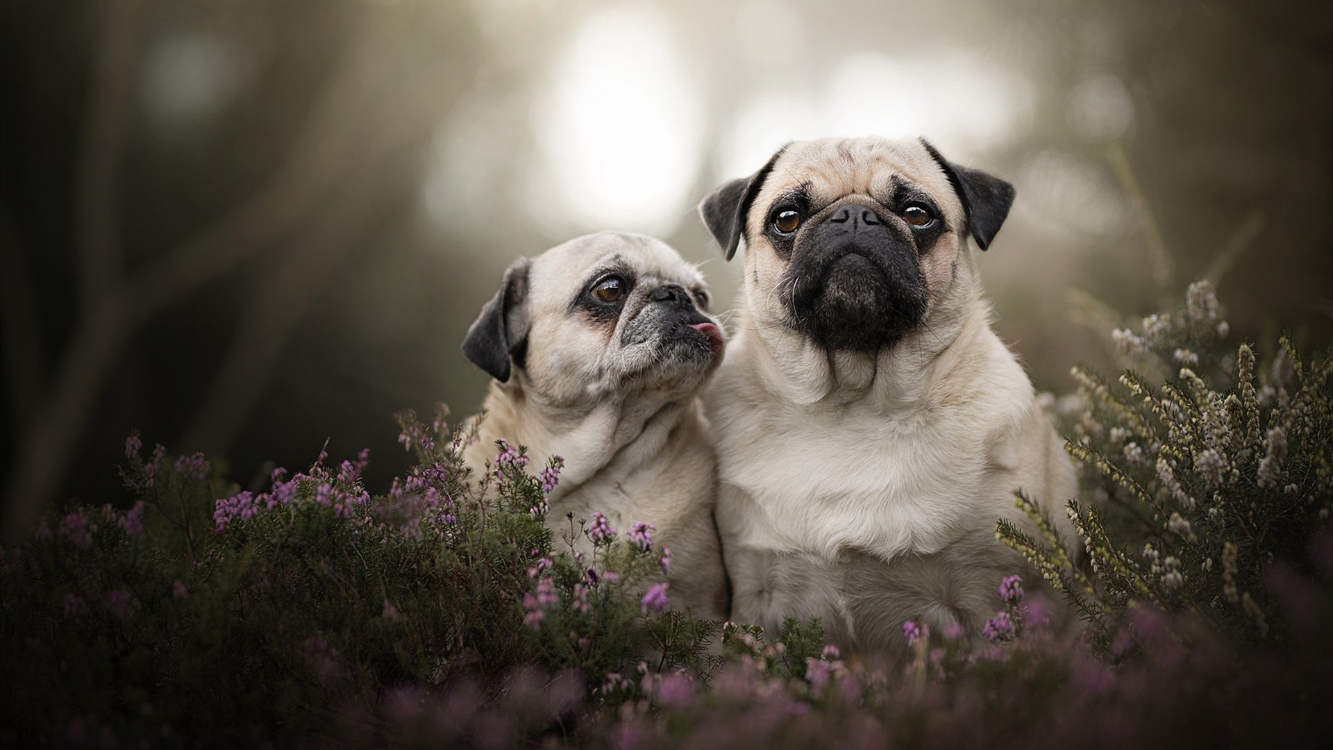 天津荣钢球队战术执行力提高，天津荣钢主场在哪里