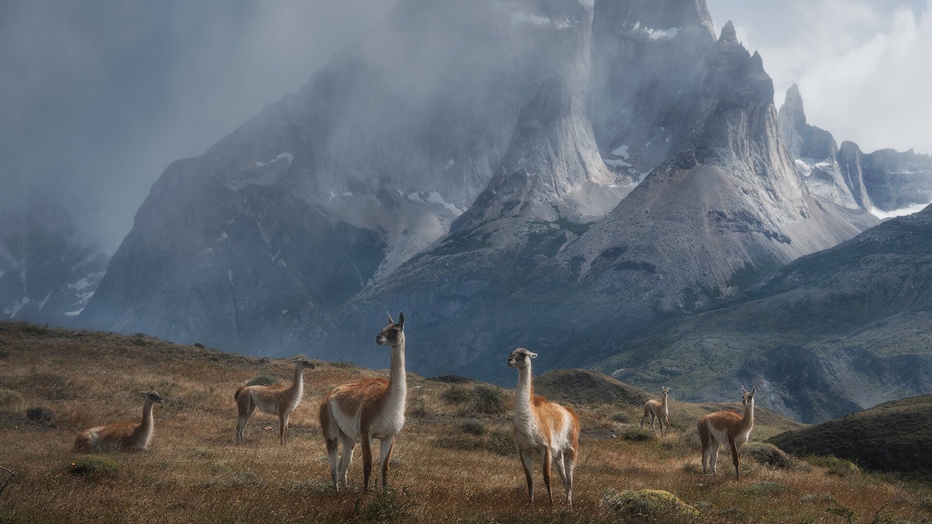 女足比赛球队士气高昂，备战如火如荼，女足小组出局