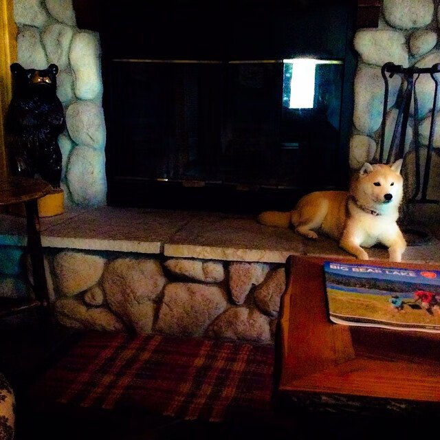 意甲联赛：谁将夺得金靴奖？球员表现抢眼，意甲金靴进球纪录