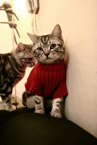 热血拼搏:双方拼尽全力,场上情绪高涨,热血拼搏的文案