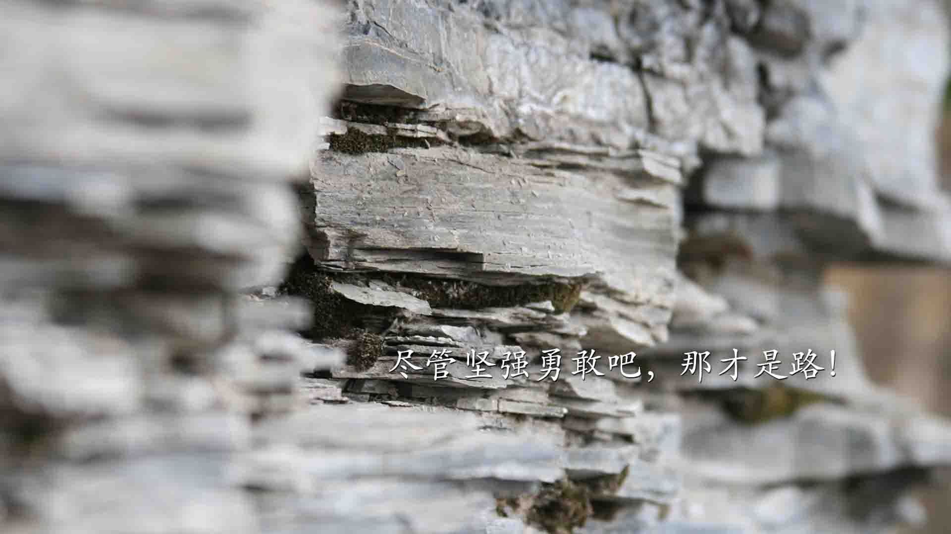 NBA联盟裁判员心理素质培养方案优化，篮球裁判员精神