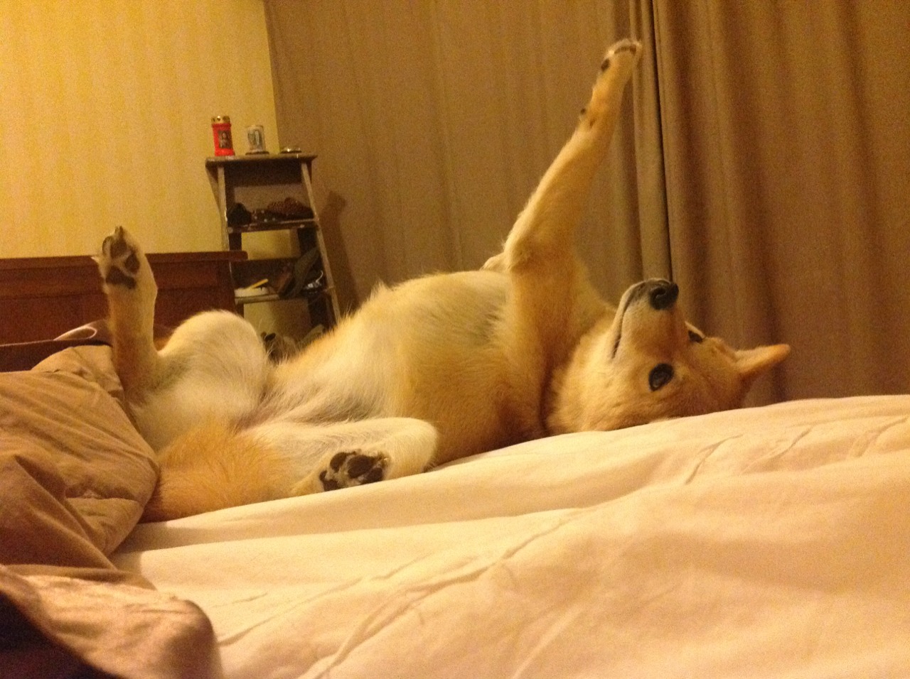 世界青少年攀岩锦标赛激烈拼搏彰显青春力量,青少年攀岩速度赛