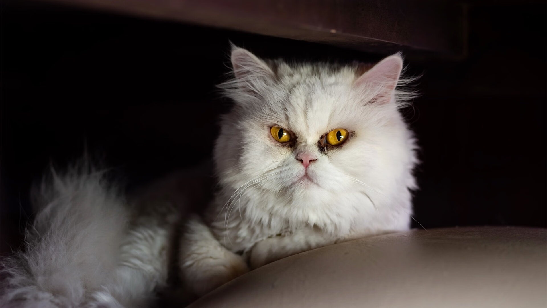 中超球队阵地战组织力评估,中超分组排名