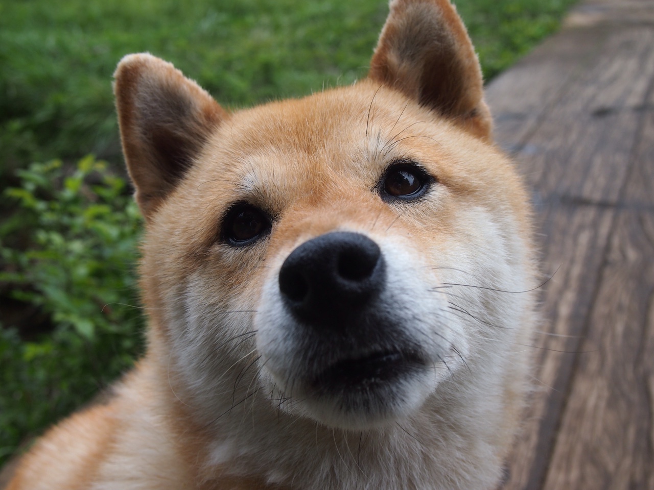 德甲球队利用脑电反馈优化比赛专注力训练,脑电反馈对专注力有用吗