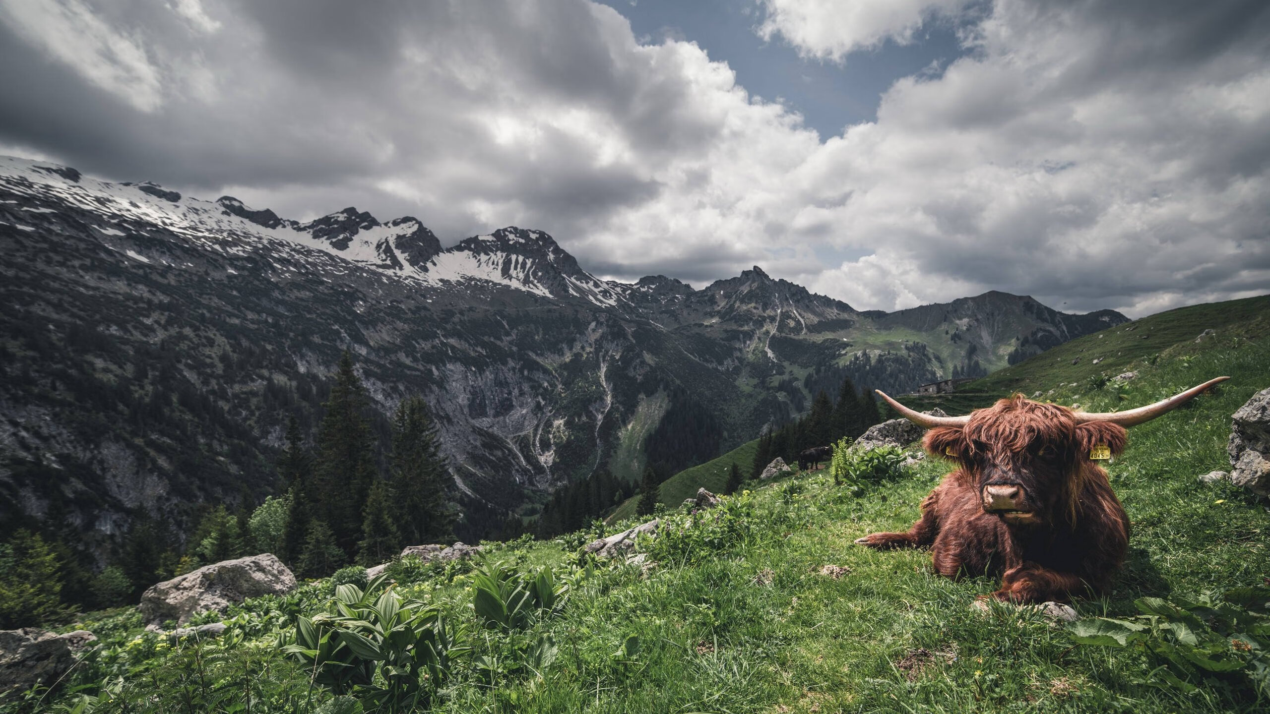 “六人制袋棍球:成都七中东部赛场精彩对抗,观众热血沸腾”