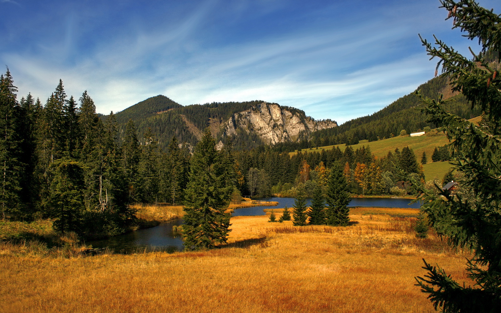 “东部新区缆绳滑水赛事：挑战力与技巧的极致碰撞”