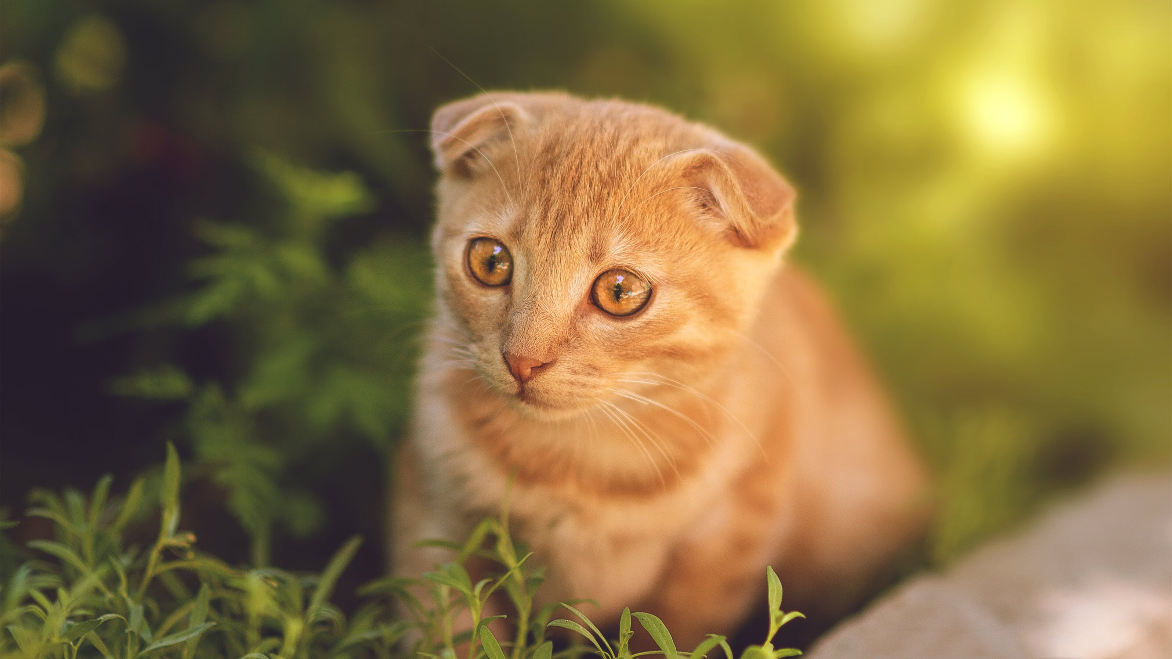 五大联赛出场球员跑动距离与战术体系关系,球员跑动距离数据